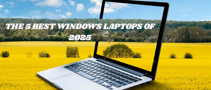 The 5 Best Windows Laptops of 2025